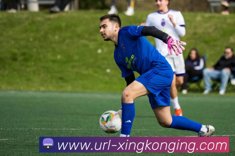 星空体育APP 封面图